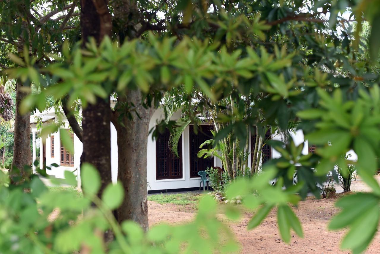 Sun And Green Eco Lodge - Dambulla Extérieur photo