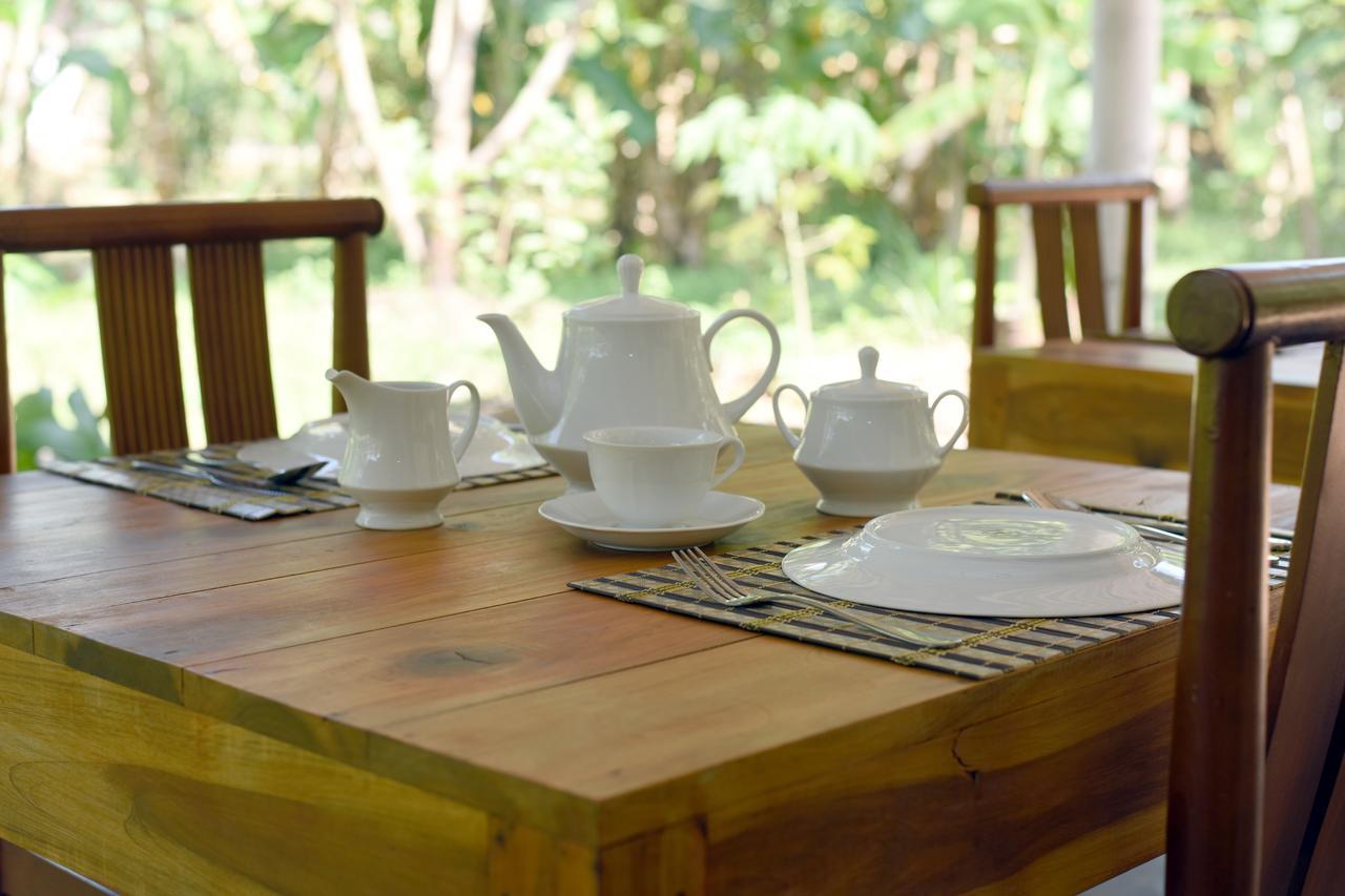 Sun And Green Eco Lodge - Dambulla Extérieur photo