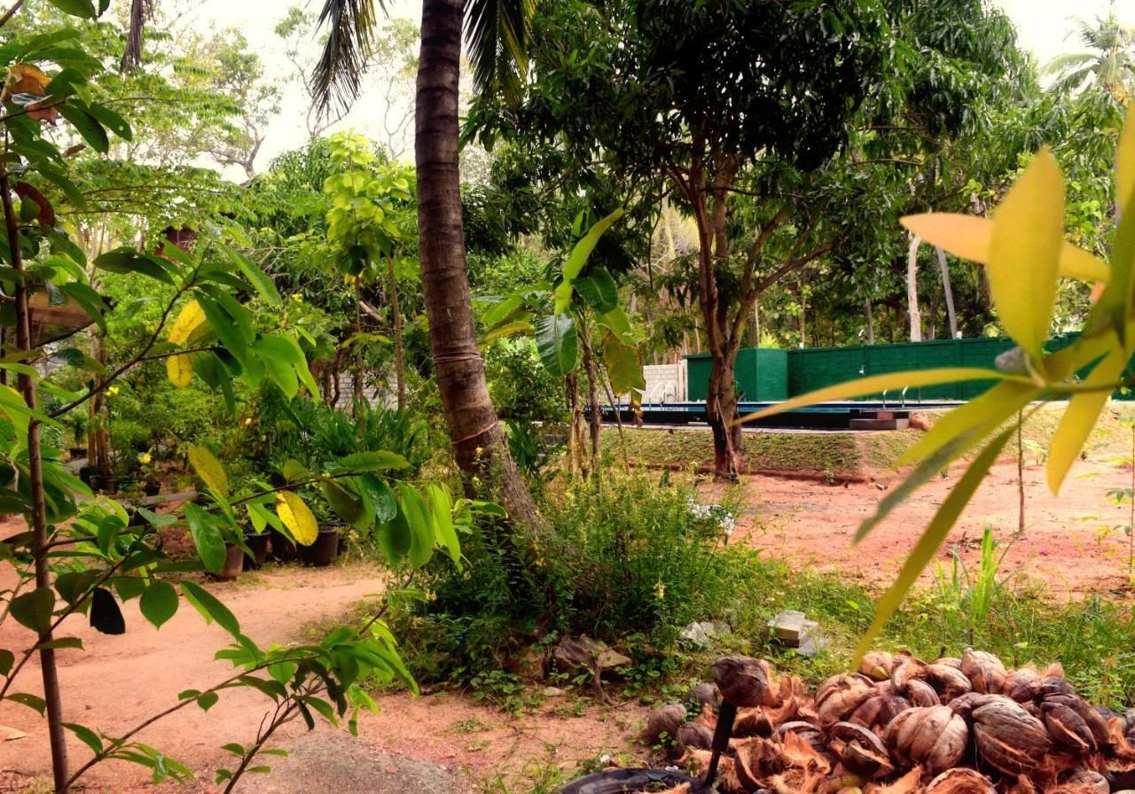 Sun And Green Eco Lodge - Dambulla Extérieur photo