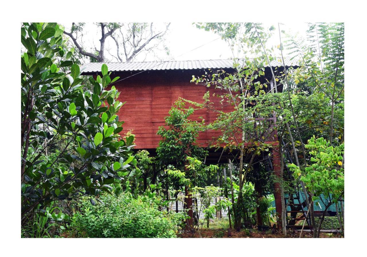 Sun And Green Eco Lodge - Dambulla Extérieur photo