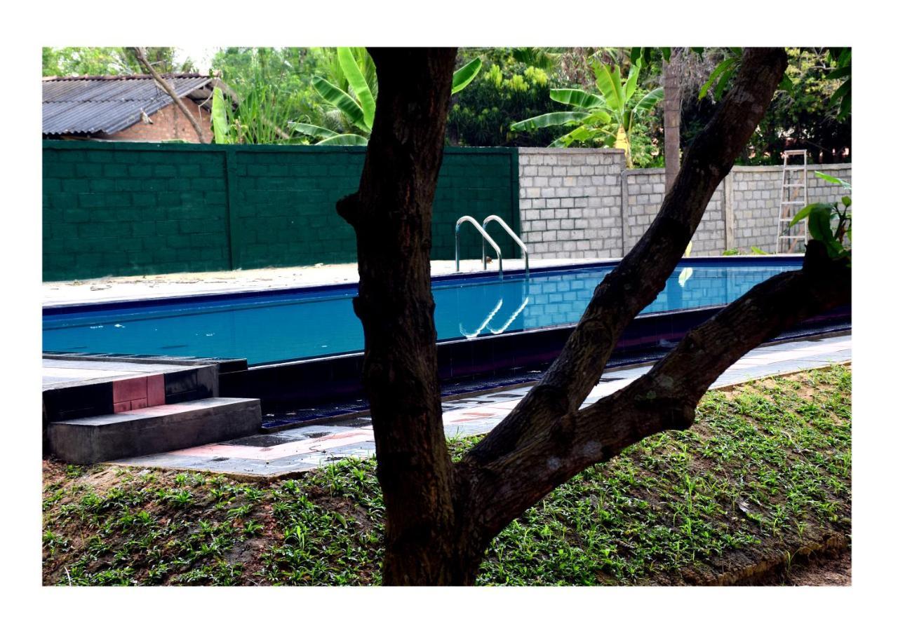Sun And Green Eco Lodge - Dambulla Extérieur photo