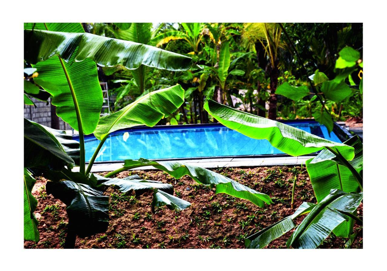Sun And Green Eco Lodge - Dambulla Extérieur photo