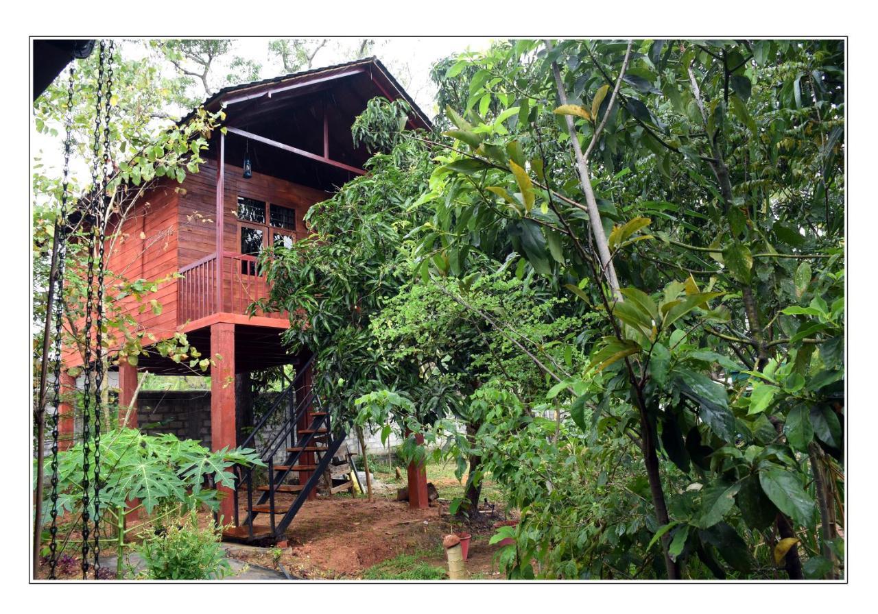 Sun And Green Eco Lodge - Dambulla Extérieur photo