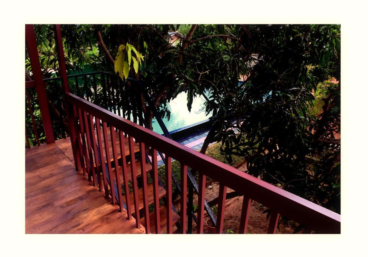 Sun And Green Eco Lodge - Dambulla Extérieur photo