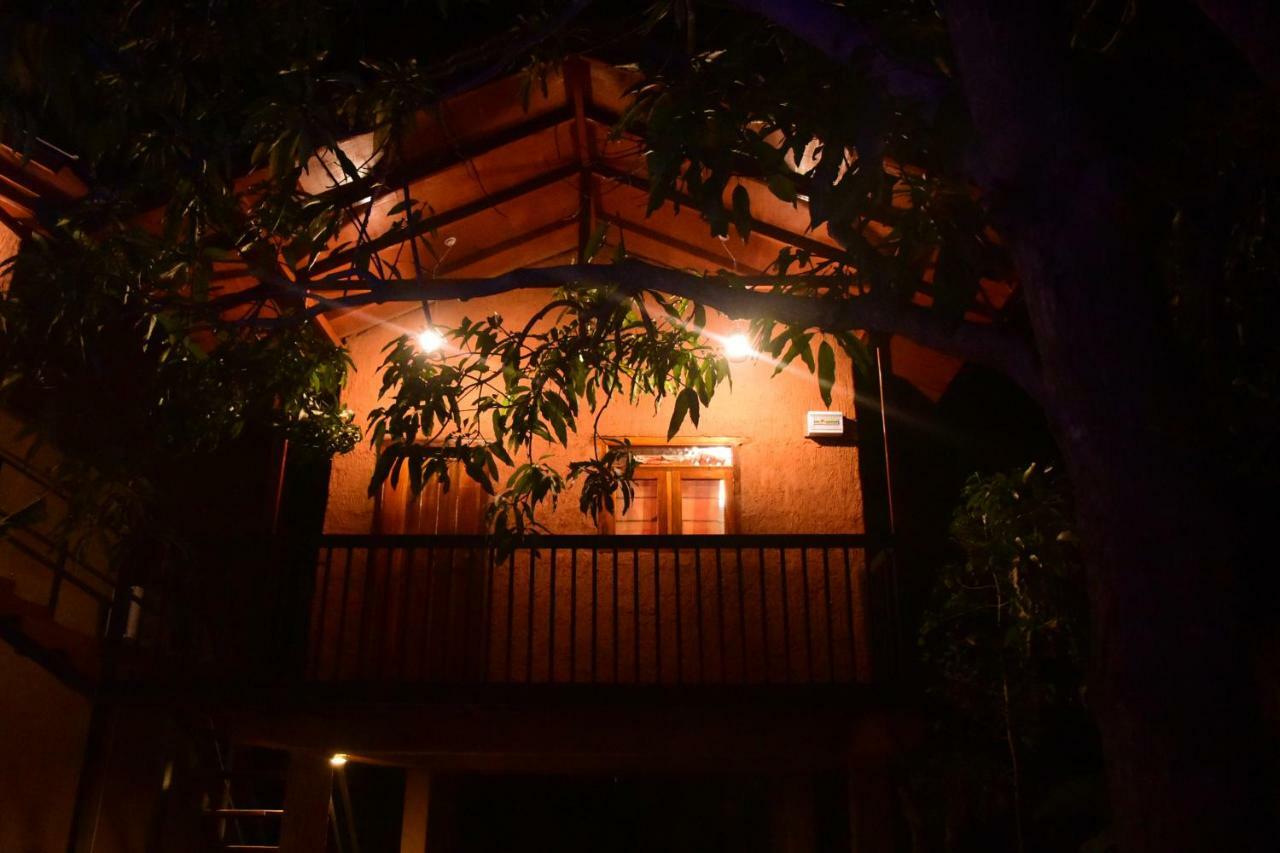 Sun And Green Eco Lodge - Dambulla Extérieur photo