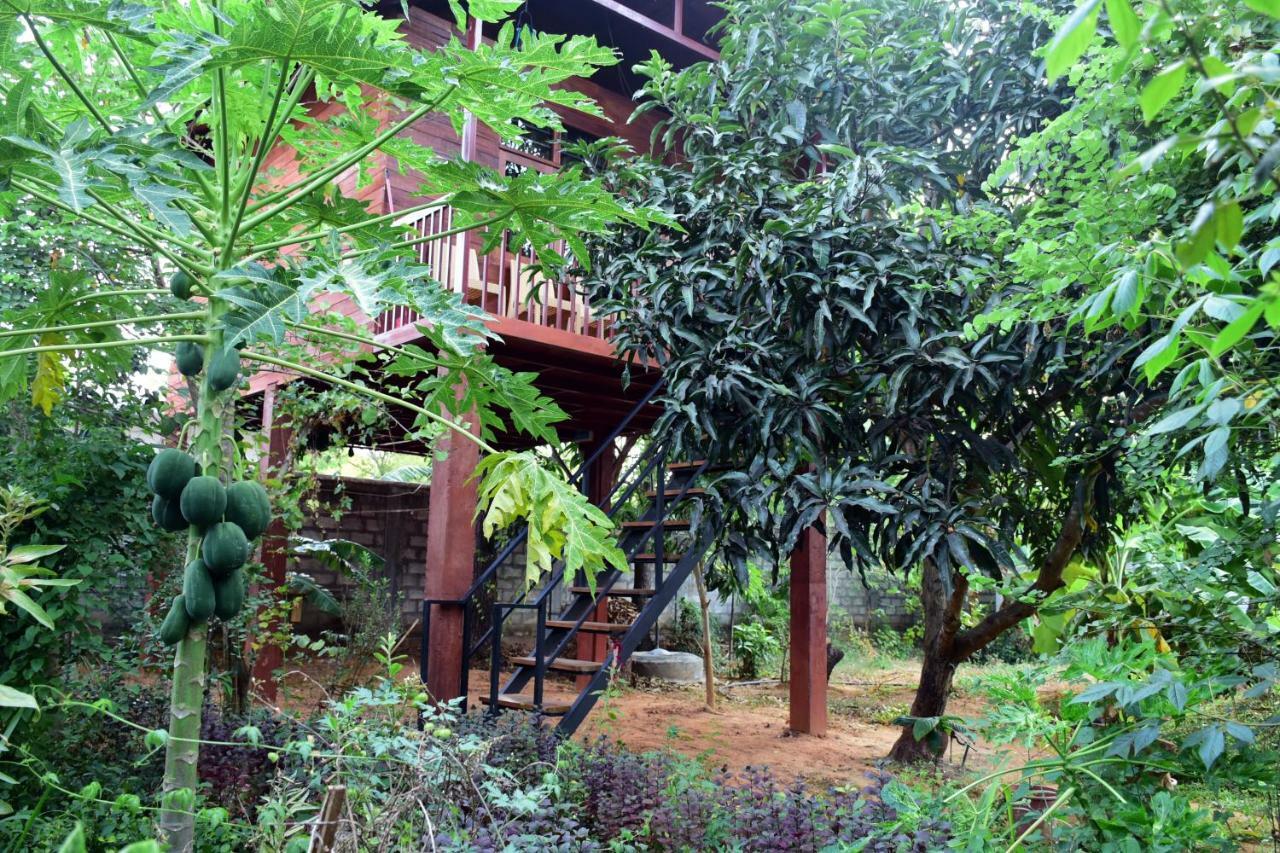 Sun And Green Eco Lodge - Dambulla Extérieur photo
